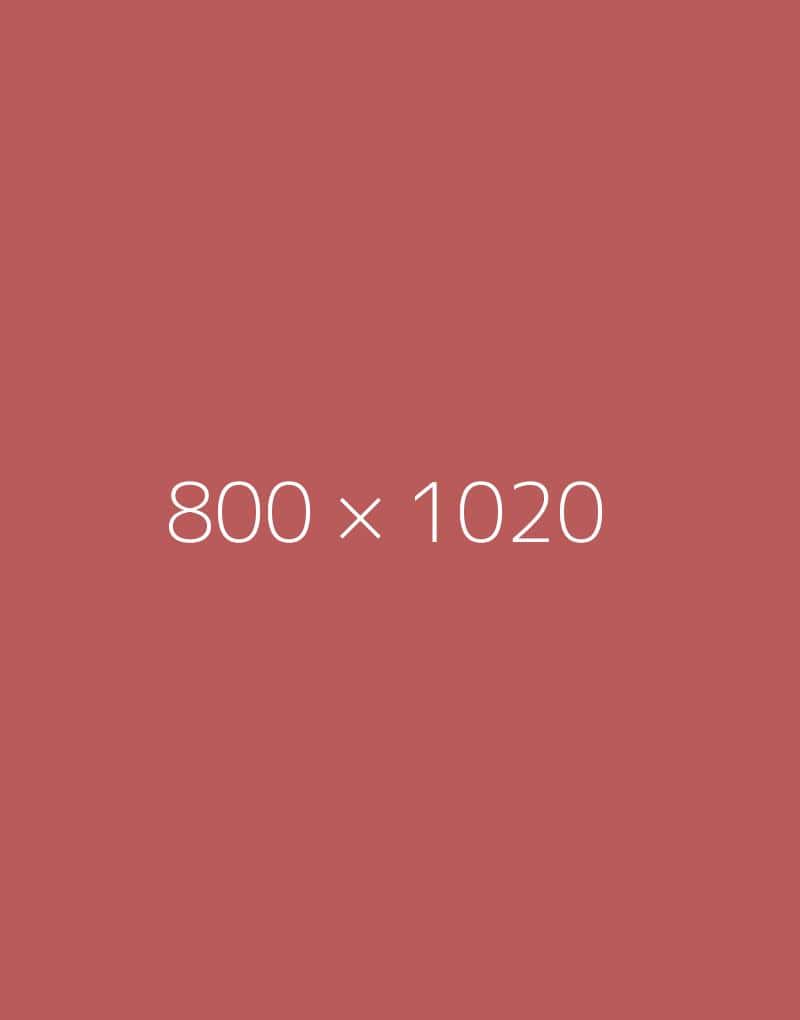 hongo-800x1020-e-ph