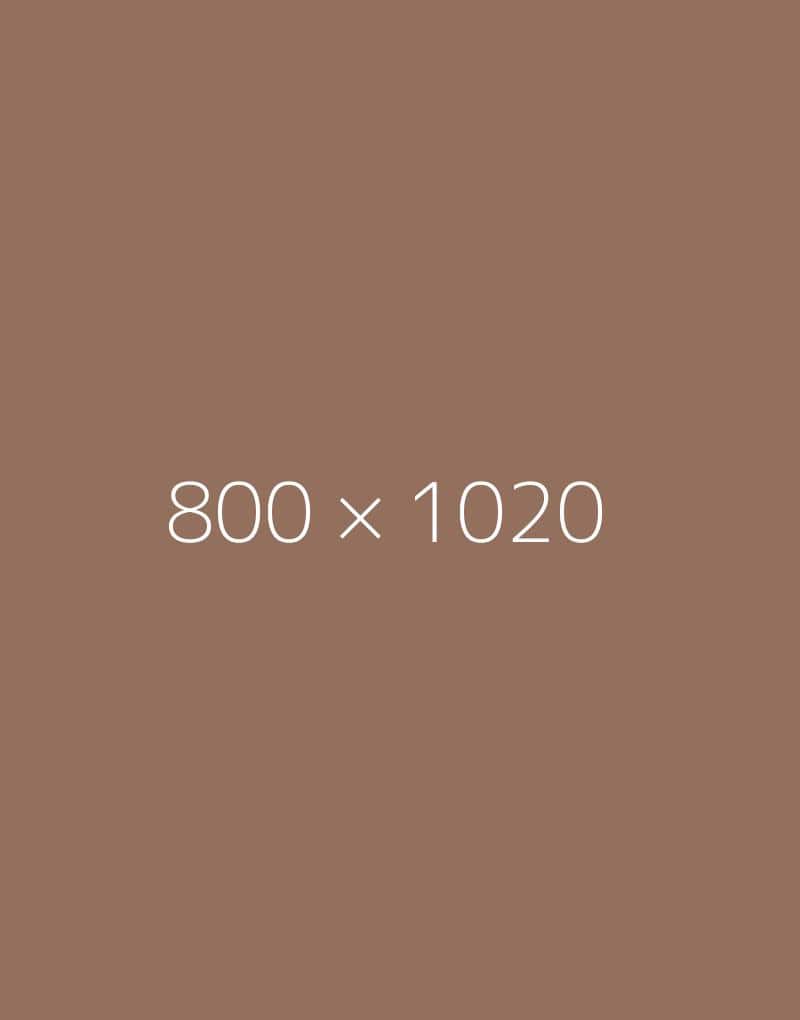 hongo 800x1020-c-ph